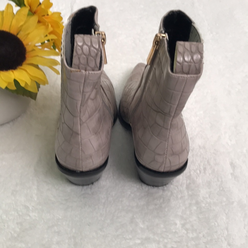 RAYE Flag Boot in Taupe - Picture 6 of 7